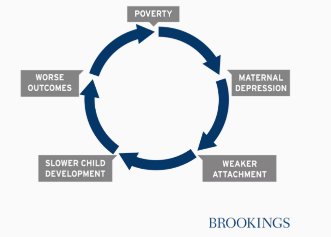 Brookings cycle