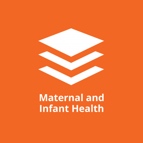 Healthy Start Maternal and Infant Health Icon