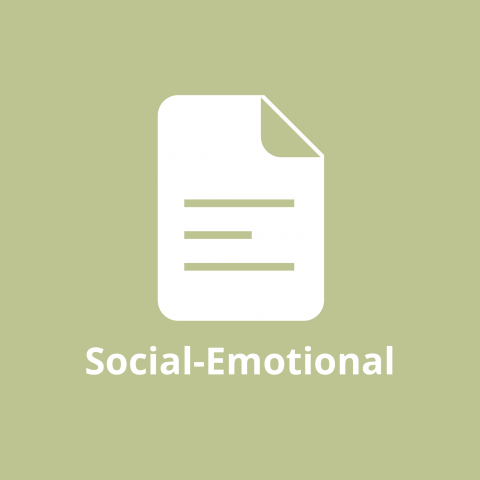 Social Emotional Report