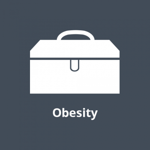 Obesity Toolkit