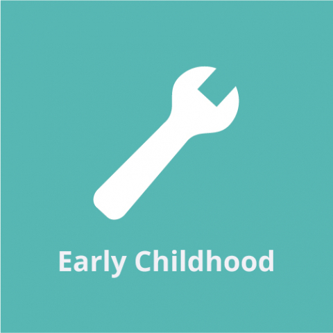 Addressing Early Childhood Health Equity in Communities and States